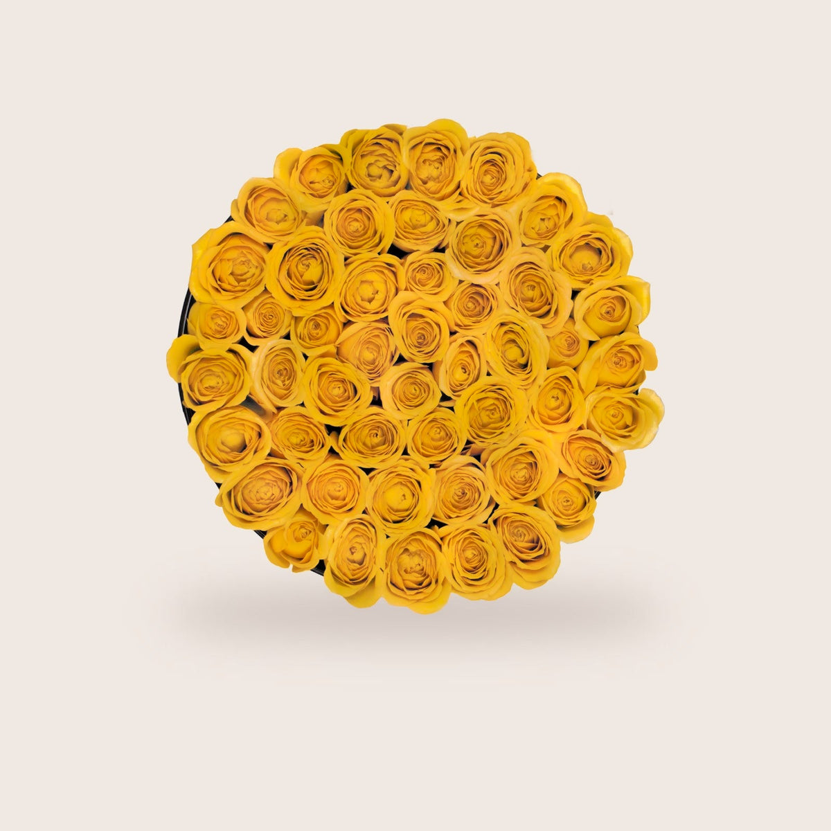 Lujosas rosas amarillas preservadas