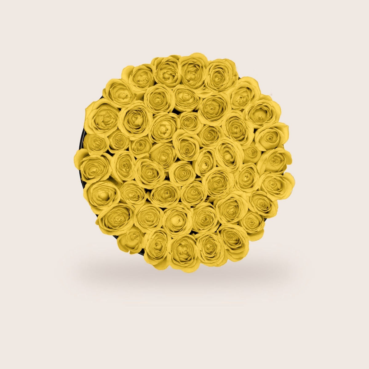 Luxurious Yellow Roses