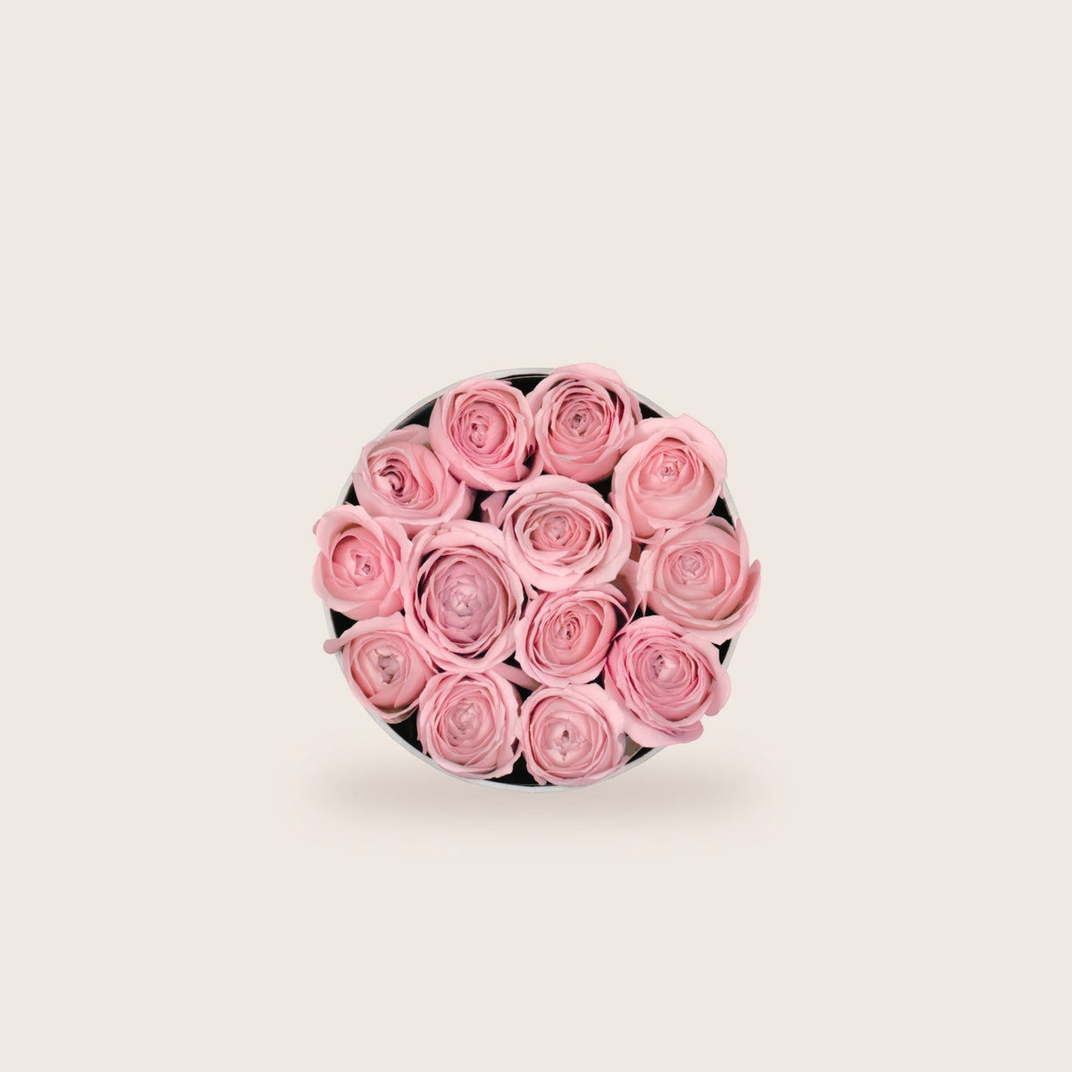 Simplicity Pink Roses