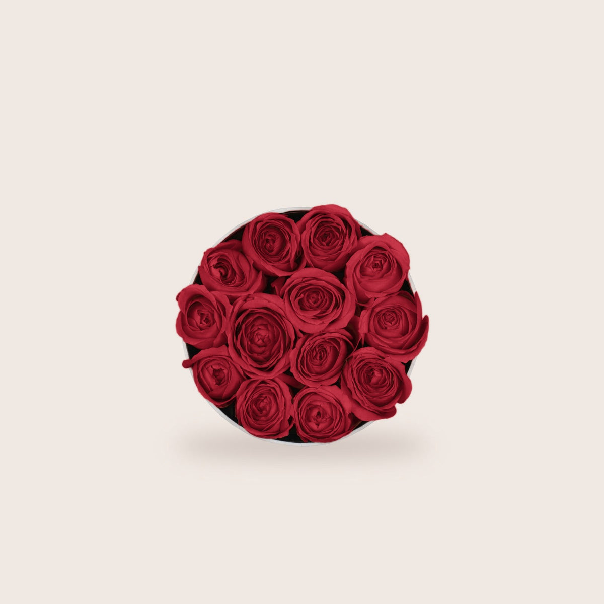 Simplicity Red Roses