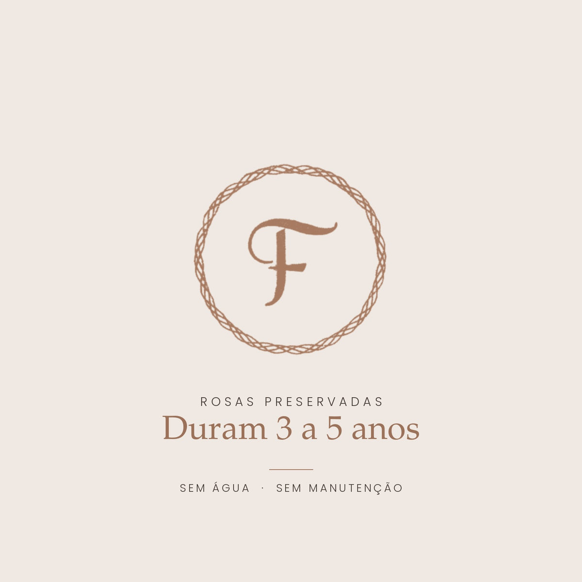 Rosas preservadas The Florist - duram 3 a 5 anos